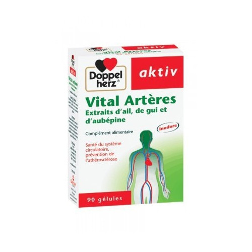 AKTIV VITAL ARTERES 90 Gélules